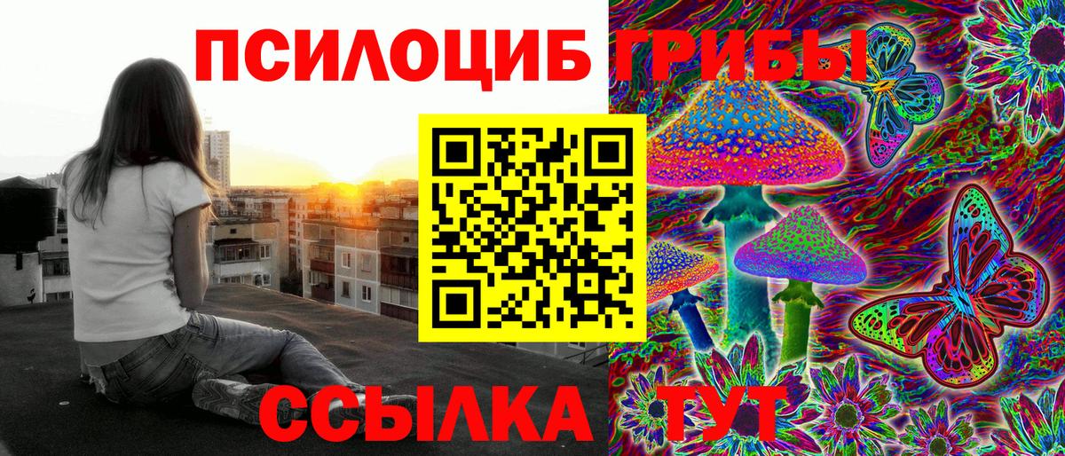 Псилоцибиновые грибы прущие грибы Бердск